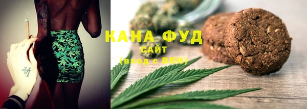 дурь Инта