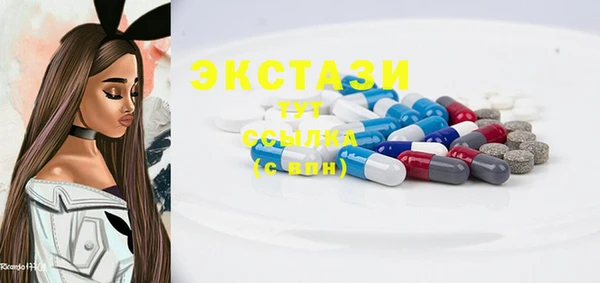 дурь Инта