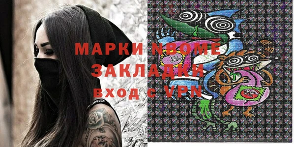 дурь Инта