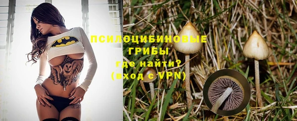 дурь Инта