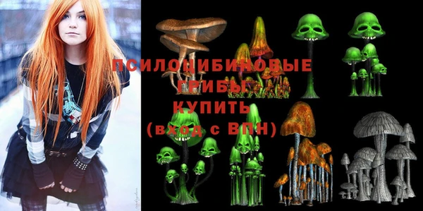 дурь Инта