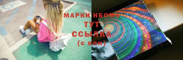 дурь Инта