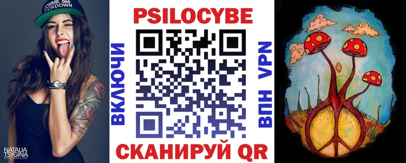 Купить закладки  Заводоуковск  Галлюциногенные грибы Magic Shrooms 
