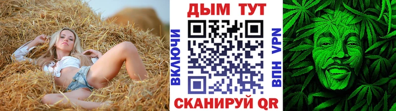 Купить закладки  Заводоуковск  Бошки Шишки SATIVA & INDICA 